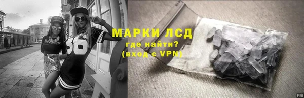 стафф Алзамай
