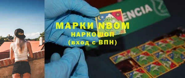 стафф Алзамай