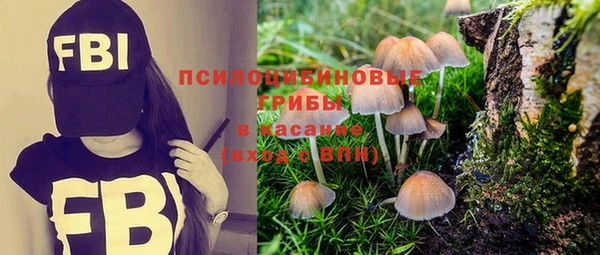 тгк Алексеевка