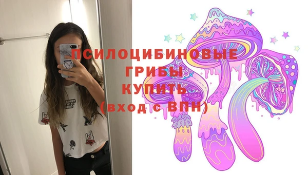 тгк Алексеевка