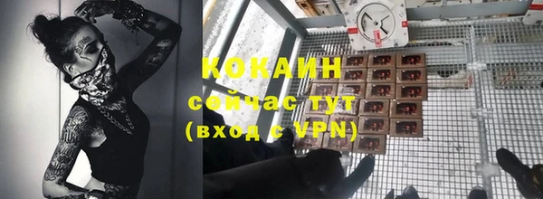стафф Алзамай
