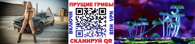 Псилоцибиновые грибы мицелий  hydra ССЫЛКА  Большой Камень 